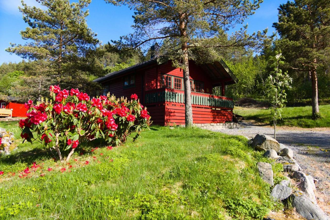 Sjoholt Camping Dış mekan fotoğraf